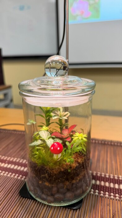 高等深耕計畫一、:彩繪技巧與手作體驗成長社群[植物組盆教學分享與體驗]圖片